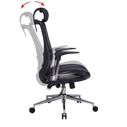 Physical Therapy Tips Choosing an Ergonomic Office Chair
