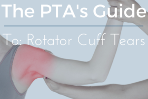 Rotator Cuff Tear Diagnosis & Treatment Guide
