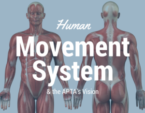 What is the Human Movement System & the APTA's Vision